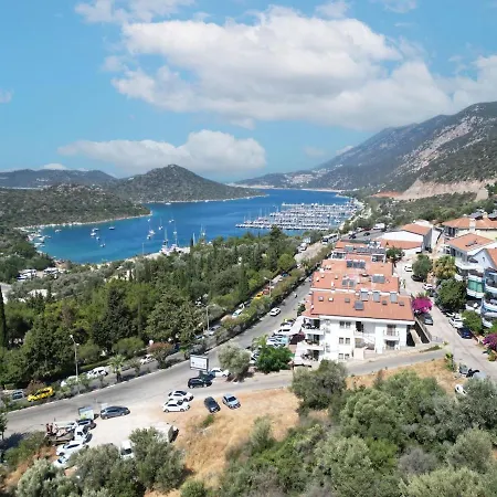Panoramic View