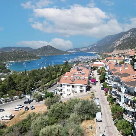 Panoramic View