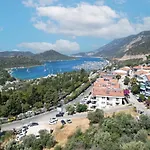 Panoramic View